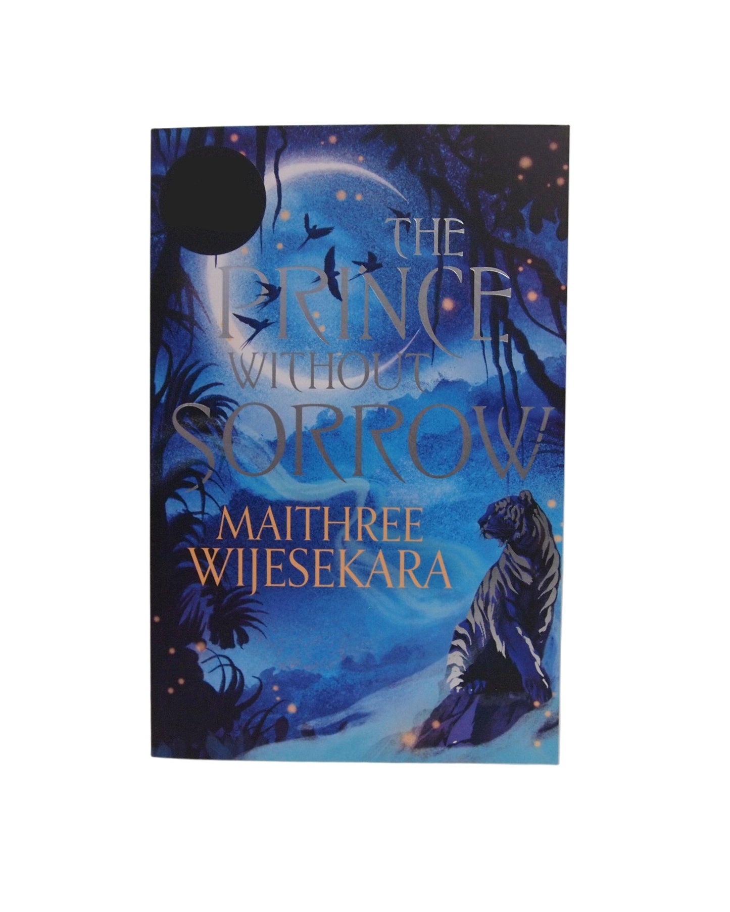 A Prince Without Sorrow